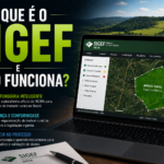 O Que é o SIGEF e Como Funciona?